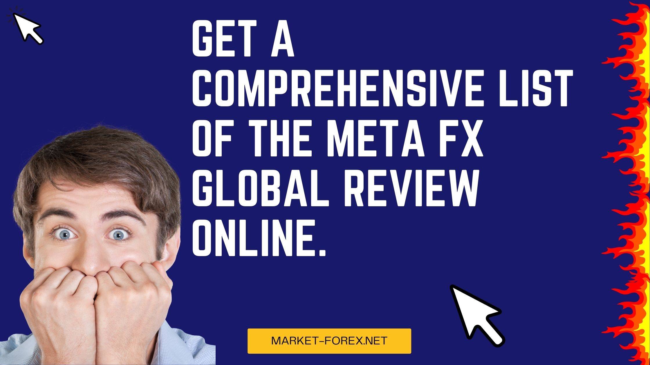 Meta Fx Global Review