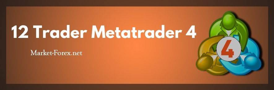 12 Trader Metatrader 4