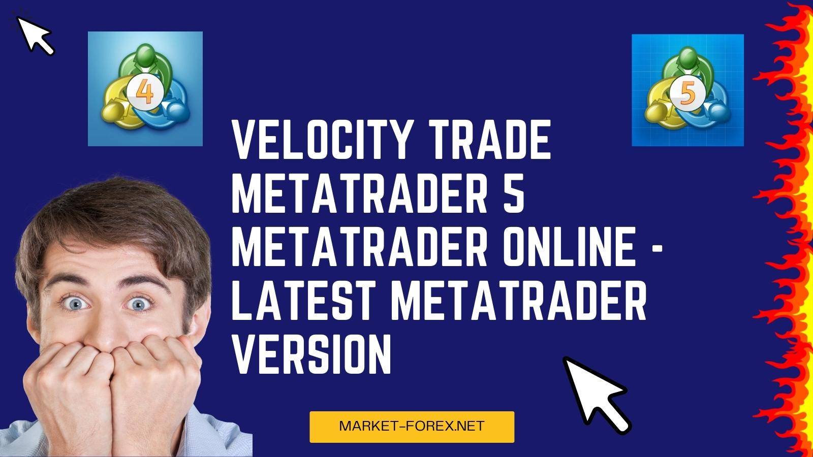 Velocity Trade Metatrader 5